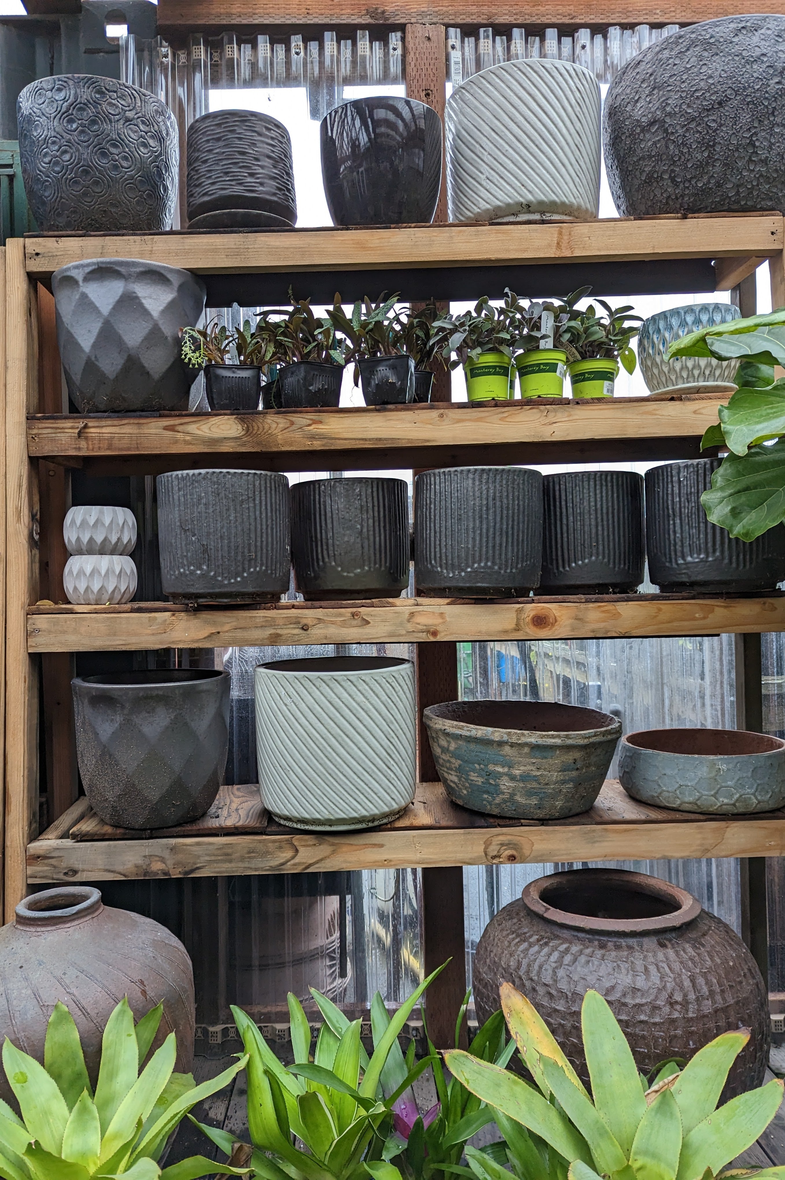 Pottery & Ornaments – Heron's Head Nursery