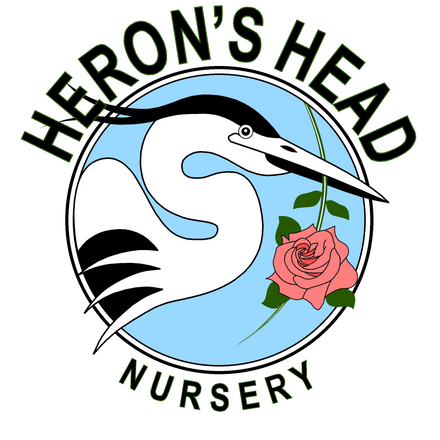 HERON'S HEAD NURSERY