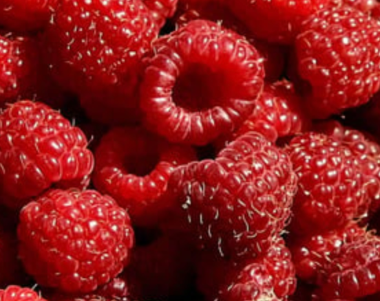 Raspberry 'Heritage'