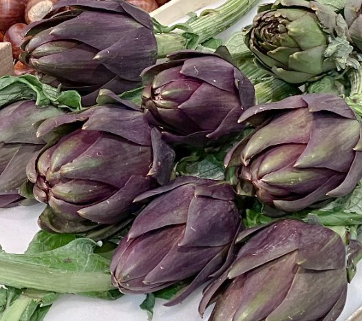 Artichoke 'Purple Romagna'