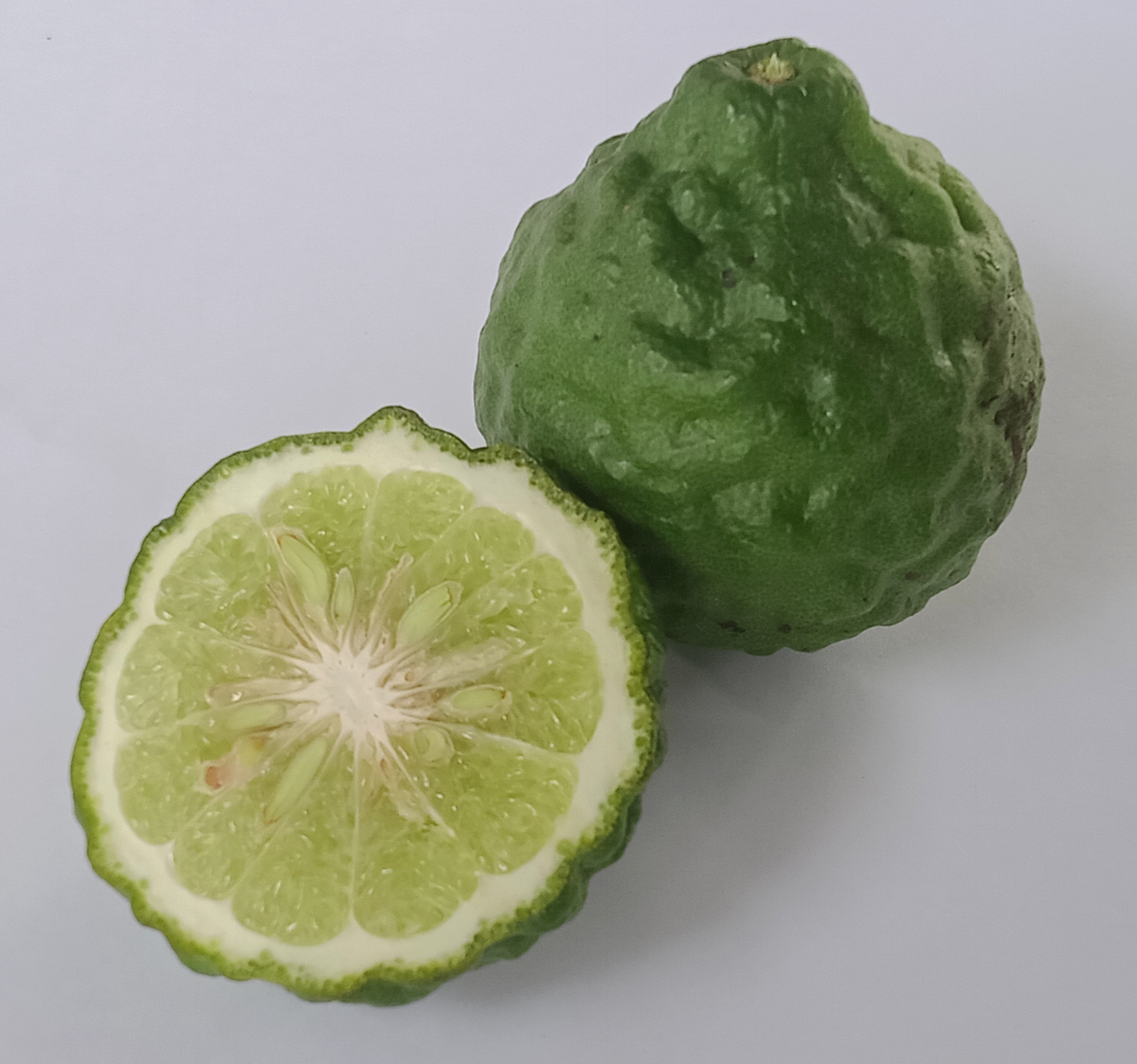 Citrus 'Makrut' (Kieffer, Kaffir, Thai) Lime