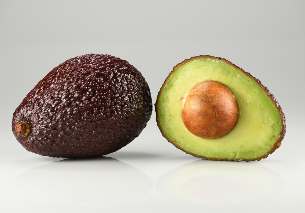 Persea americana (Avocado) 'Lamb Hass'