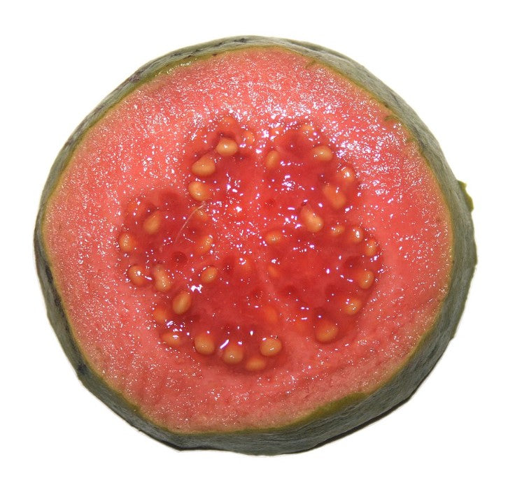 Red Guava (Psidium guajava)